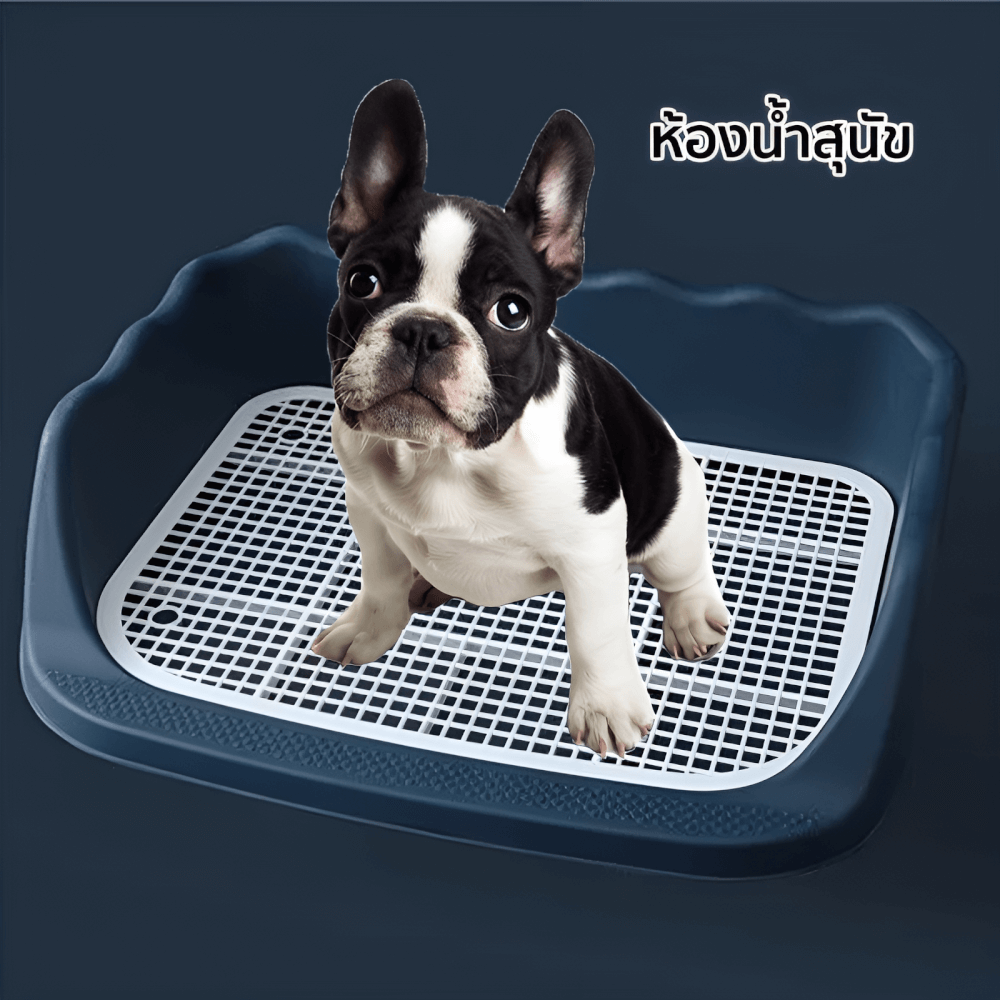 ห้องน้ำสุนัข THAI SUN SPORT รุ่น PET0004-BU